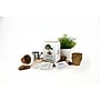 Gift Republic Bonsai Tree Grow Kit (GR200067)~#|#~EE2D73AD-B456-4A37-A0033C45BEE8E92D_sc7