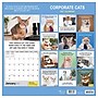 2027 TF Publishing Corporate Cats 12" x 12" Monthly Wall Calendar (27-1005)~#|#~EE37BF9B-2789-40B6-A7D71D7BC0463E7C_sc7