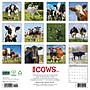 2027 Willow Creek Cows 12" x 12" Monthly Wall Calendar, Assorted Colors (59913)~#|#~EE385840-D3A4-4285-AFAD2E38F8B4B848_sc7