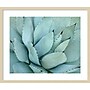 Amanti Art Agave Detail IV by Brittany Evans Wood Framed Wall Art Print, 25"W x 21"H (A42678978405)~#|#~EE38A1C0-B23C-439D-BDA412BF11BA90A3_sc7