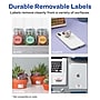 Avery Durable Removable Rectangle Multipurpose Labels, 4" x 6", White, 30/Pack (94278)~#|#~EE42914F-546A-4940-B25A154A58E9FB0D_sc7