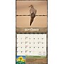2026 BrownTrout Mossy Oak Gamekeeper 12" x 12" Monthly Wall Calendar (9798330707744)~#|#~EE43C1E2-E6EE-436C-A47404DAE2122BB8_sc7