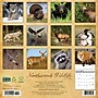 2026 Willow Creek Northwoods Wildlife 12" x 12" Monthly Wall Calendar (52204)~#|#~EE45A454-35E7-4146-9982CBF15E90FF8F_sc7