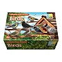 Yellow Door Sensory Play Stones, Birds, Multicolored, 8 Pieces/Set (YUS1219)~#|#~EE52D7A2-011A-4F9C-9933E014C35B3401_sc7