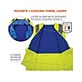 Ergodyne Chill-Its 6668 High-Visibility Safety Cooling Vest, XXL, Lime (12716)~#|#~EE5746B8-127A-4081-B1E5D711386AC1B1_sc7
