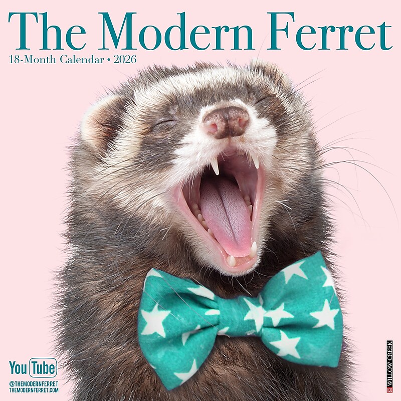 2026 Willow Creek Modern Ferret 12" x 12" Monthly Wall Calendar (51962) image 1