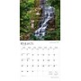 2026 BrownTrout New York Wild & Scenic 12" x 12" Monthly Wall Calendar (9798330704897)~#|#~EE67CE07-155E-40B6-8E83E68618A67AEA_sc7