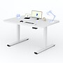 FlexiSpot ET262 55"W Electric Rectangular Adjustable Standing Desk, White (4SPL-S09010076)~#|#~EE6C40E2-9A1C-42C2-8995AA5979F9091E_sc7