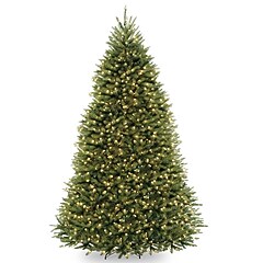 National Tree Company 4' Pre-Lit Dunhill Fir Artificial Christmas