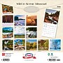 2026 BrownTrout Missouri Wild & Scenic 12" x 12" Monthly Wall Calendar (9798330704620)~#|#~EE862401-CA49-4FC3-B2218AF5E0EE6CC2_sc7