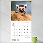 2027 TF Publishing Baby Animals 11" x 12" Monthly Wall Calendar (27-1000)~#|#~EE898186-2A92-41EA-8D9722B593A84CCD_sc7