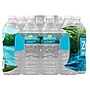 Zephyrhills 100% Natural Spring Water, 16.9 oz. Plastic Bottles, 24/Carton (11475233)~#|#~EE8F5D79-3AED-4D92-BC0CF46E26F6296C_sc7