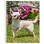 2026 BrownTrout Chihuahuas 6.5" x 7.75" Weekly Planner (9798330702930)~#|#~EE93FCC1-1316-4D29-B0D62D60ECAED420_sc7