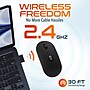 Delton S16 Wireless Ambidextrous Optical Mouse, Black (DMS16-WR)~#|#~EEA6C0C2-BA69-4A9E-BE5FC2291FFB4E29_sc7