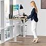 Uncaged Ergonomics RISE UP Electric Adjustable Height Steel Ergonomic Sit Stand Office Desk Frame, White (RUW)~#|#~EEB931CE-D2CD-4034-862D31AAA385D589_sc7