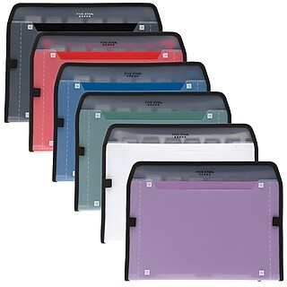 Staples Plastic Accordion File, 6-Pocket, Letter Size, Multicolor