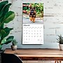 2026 BrownTrout German Shepherds 12" x 12" Monthly Wall Calendar (9798330703388)~#|#~EEC61A93-D37A-4F96-AA1C467C9CA4D135_sc7