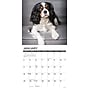 2026 Willow Creek Cavalier King Charles Spaniels 12" x 12" Monthly Wall Calendar (50651)~#|#~EED27327-5878-4562-9724D7FC7A10F498_sc7