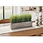 Monarch Specialties Inc. 12" Artificial Grass Plant in Pot (I 9374)~#|#~EEFE5163-5068-444A-A83B5C32AE4F5B4E_sc7