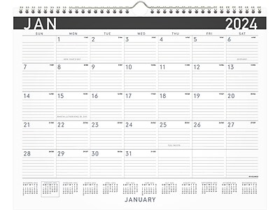 Staples 2025 Calendar - Suzi Zonnya