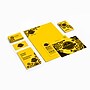Astrobrights 65 lb. Cardstock Paper, 8.5" x 11", Sunburst Yellow, 250 Sheets/Ream (22791)~#|#~EF267DBC-5DAB-47C0-B29B9A247D6832B3_sc7