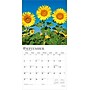 2026 BrownTrout Sunflowers 12" x 12" Monthly Wall Calendar (9798330705696)~#|#~EF47B8AB-2DDE-4C04-BBC04D8AE37C6E4A_sc7