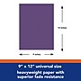 Tru-Ray 9" x 12" Construction Paper, Purple, 50 Sheets/Pack, 5 Packs/Bundle (PAC103019-5)~#|#~EF5A9631-E9BA-4F9F-87B2C5313CFA859C_sc7
