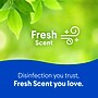 Clorox Disinfecting Wipes, Fresh Scent, 35 Wipes/Container (01593)~#|#~EF60F003-6C26-4BD3-93396C99BD7034FF_sc7