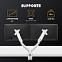 Fellowes Platinum Series Adjustable Dual Monitor Arms, Up to 40" Monitor, White (8056301)~#|#~EF8ADE18-A3AF-47B6-84770DC239778022_sc7