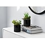 Monarch Specialties Inc. 7" Artificial Succulent Plant in Pot, 2/Set (I 9554)~#|#~EFC08BD0-08AF-4DD6-978E2C15936FE10C_sc7