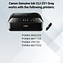 Canon 251 Gray Standard Yield Ink Cartridge  (6517B001)~#|#~EFC18690-6A55-4D94-A1A2E40D3A51F454_sc7