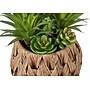Monarch Specialties Inc. 9" Artificial Succulent Plant in Basket, 2/Set (I 9369)~#|#~EFC21854-53E9-4556-80CEDBB3210C7548_sc7