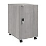 Bush Business Furniture Assure 26"H Storage Cabinet, Platinum Gray (AUS116PGSU)~#|#~EFDCAEAA-1B4C-48D0-88FF902391081EE1_sc7