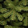 National Tree Company North Valley Spruce Artificial Christmas Trees (NRV7-505-75)~#|#~EFDDCA3B-65DA-4FB3-BC66F63F8154D3CD_sc7