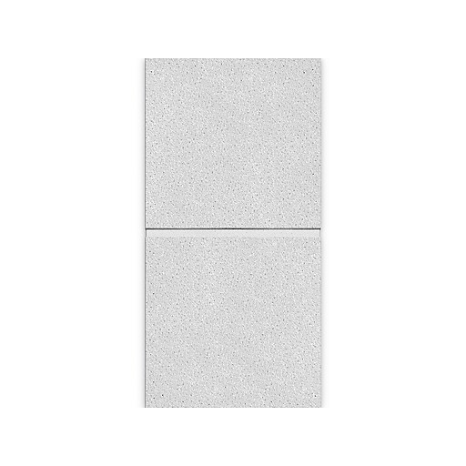 Armstrong DUNE Second Look Tegular Edge Ceiling Tile, 24" x 48", White