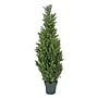 National Tree Company 50" Cedar Tree (QLMC8-50-1)~#|#~F00CA506-5C5B-482D-9FF18C5FAA823CC8_sc7