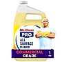 Mr. Clean PRO All Surface Cleaner Commercial Grade, 1 Gallon (24345)~#|#~F00F1853-9FB1-41D9-B8A403A6BA77DC13_sc7