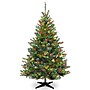 National Tree Company Kincaid Spruce Artificial Christmas Tree (KCDR-60RLO)~#|#~F0105D91-088B-4D16-8EEA08894AE90A2D_sc7