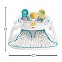 Fisher-Price Deluxe Sit-Me-Up Floor Seat (HBM82)~#|#~F01EF8B5-ECC2-49C8-829A914E3BD3D645_sc7