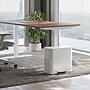 simplehuman Office Mini Steel Trash & Recycling Step Can, 4 Gallon, White (CW2122)~#|#~F024731E-2203-4237-984987AA7A1A2802_sc7