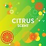 Scrubbing Bubbles Bathroom Grime Fighter Cleaner, Citrus, 32 Oz. (306111)~#|#~F04A526A-B8E1-4898-993A8E388A60C7DB_sc7