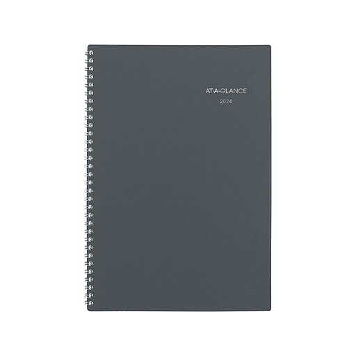 2024 ATAGLANCE DayMinder 5" x 8" Weekly & Monthly Planner, Plastic