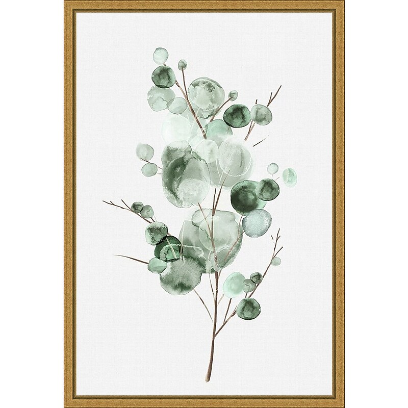 Amanti Art Tender Sprout I (Eucalyptus) by Eva Watts Framed Canvas Wall Art Print, 16" x 23" (A42675040760) image 1