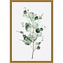 Amanti Art Tender Sprout I (Eucalyptus) by Eva Watts Framed Canvas Wall Art Print, 16" x 23" (A42675040760)~#|#~F08DAFEB-49EC-42F8-B4E16B569940125C_sc7