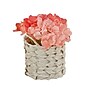 National Tree Company 10" Coral Hydrangea Bouquet in White Basket (MT81-1326GCOR-1)~#|#~F08E9246-A098-42C5-84D10B2753F33E87_sc7