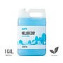 Perk Eco Glass Cleaner Refill, Ready To Use, 1 Gallon (PK611001-A)~#|#~F0AE329D-7931-442E-A8961F1BD78F2EF9_sc7