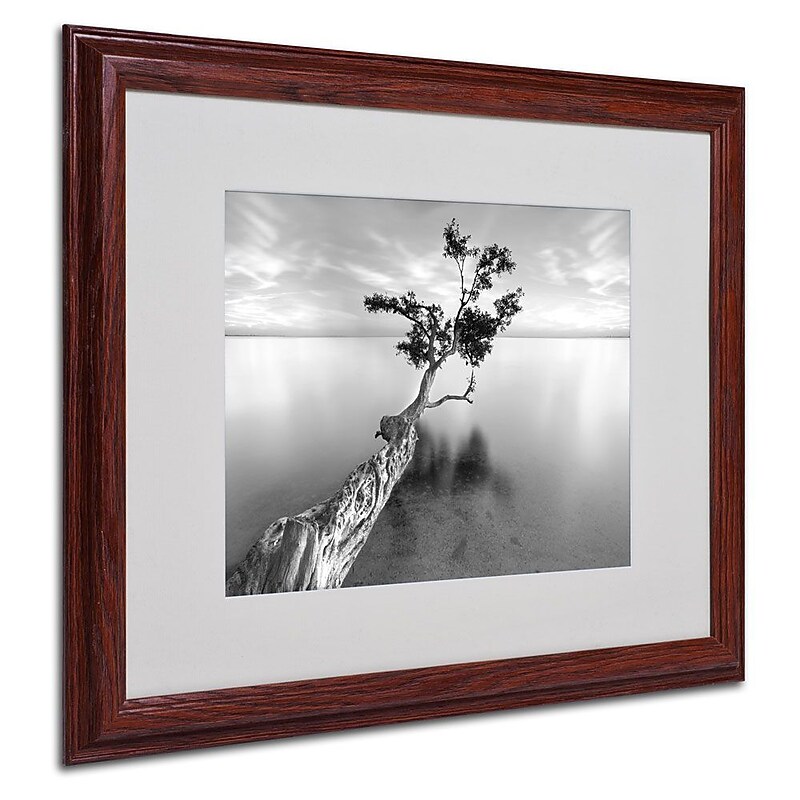Trademark Fine Art 'Water Tree XIII' 16" x 20" Wood Frame Art image 1