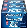Dentyne Ice Sugar Free Peppermint Gum, 16 Pieces/Pack, 9 Packs/Box (VAM05111)~#|#~F0BC207A-DCF8-4CCF-952CD5EC4DD86D41_sc7