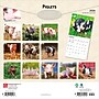 2026 BrownTrout Piglets 12" x 12" Monthly Wall Calendar (9798330705139)~#|#~F0CFB6F5-6220-46E8-B95320010D41E6EC_sc7