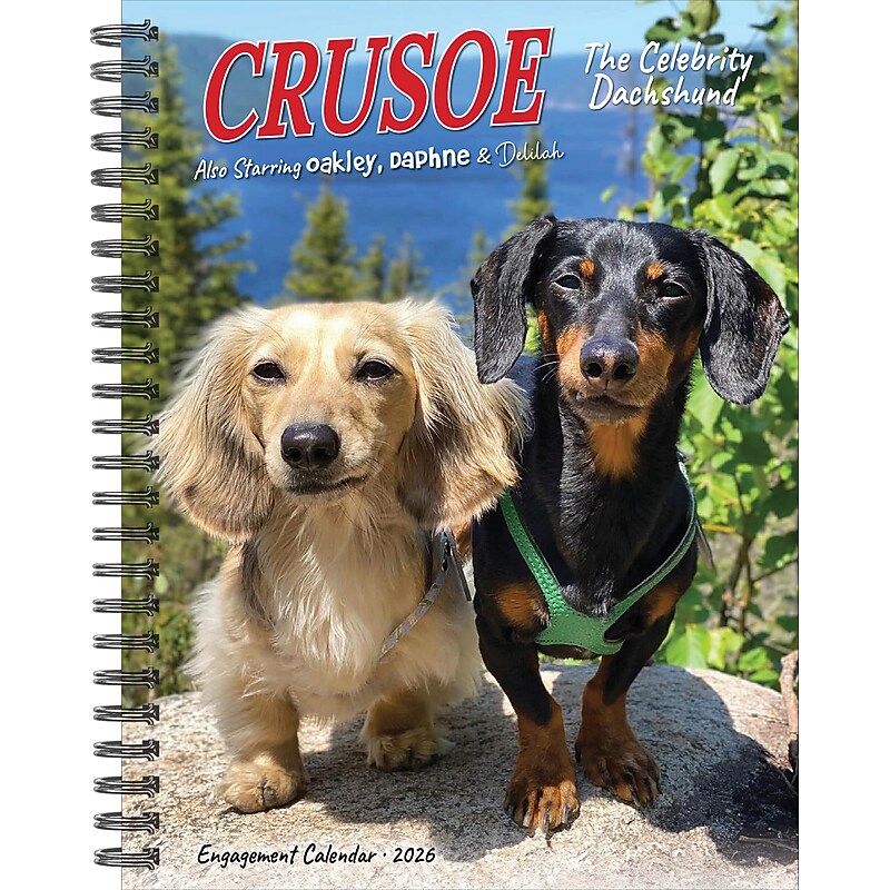 2026 Willow Creek Crusoe the Celebrity Dachshund 6.5" x 8.5" Daily & Monthly Personal Organizer (54611) image 1